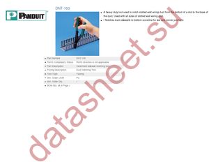 DNT-100 datasheet  
