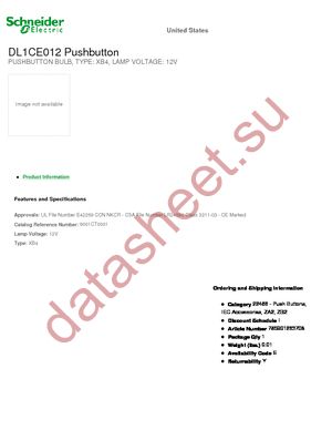 DL1CE012 datasheet  