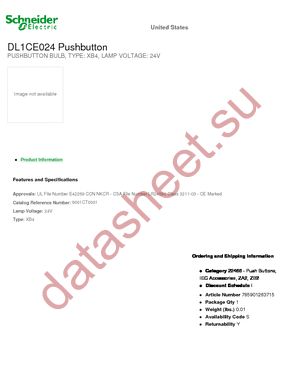 DL1CE024 datasheet  