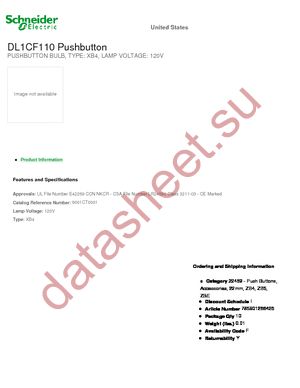 DL1CF110 datasheet  