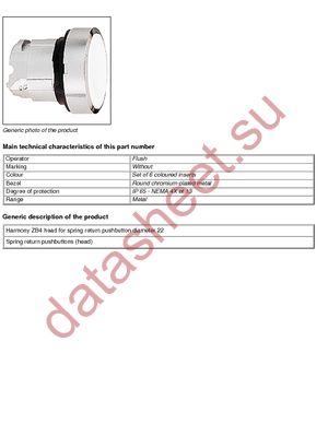 ZB4BA9 datasheet  