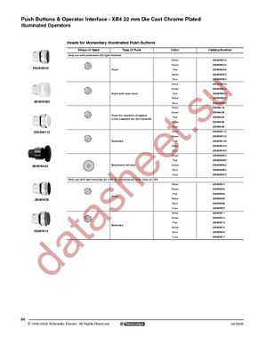 ZB4BW33 datasheet  